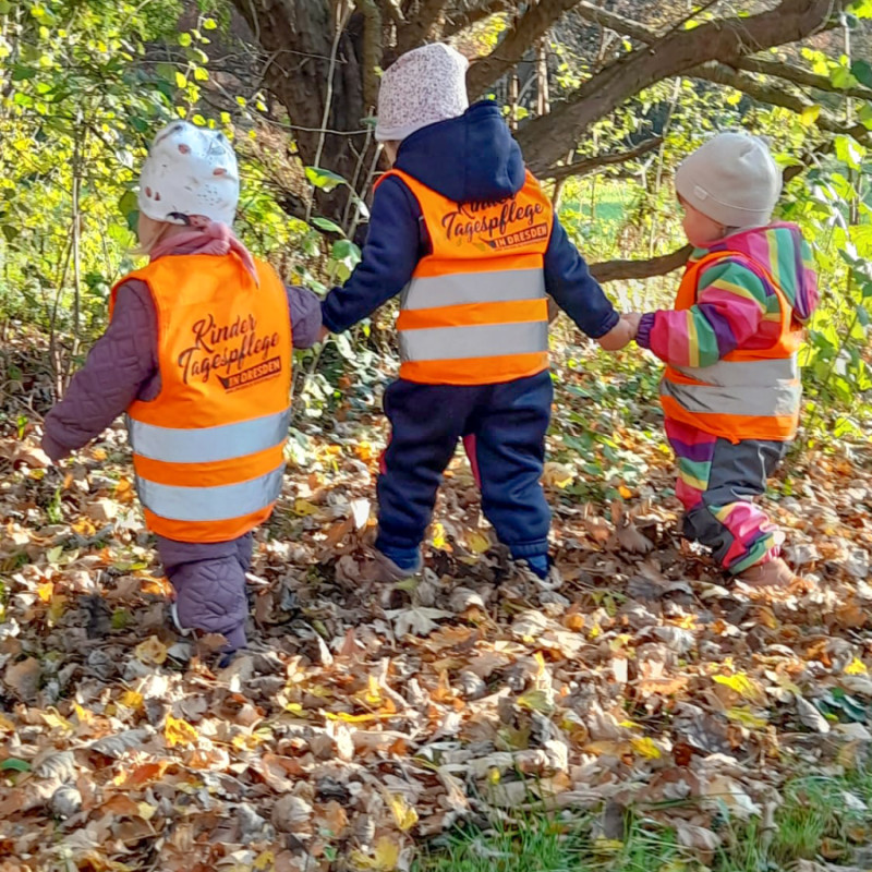 Farbenrausch im Herbst genießen