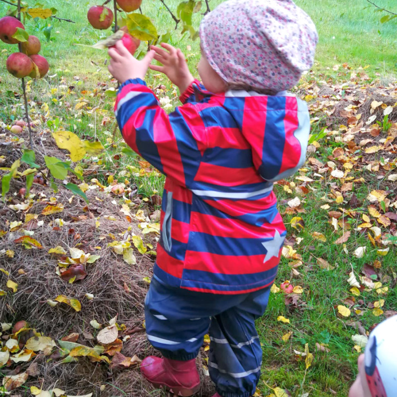 Spätsommer-Ernteglück