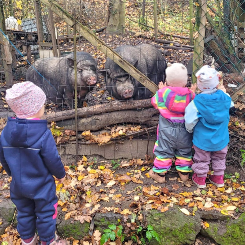 Umgang mit Tieren erfahren