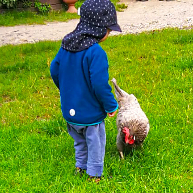 Tieren behutsam begegnen