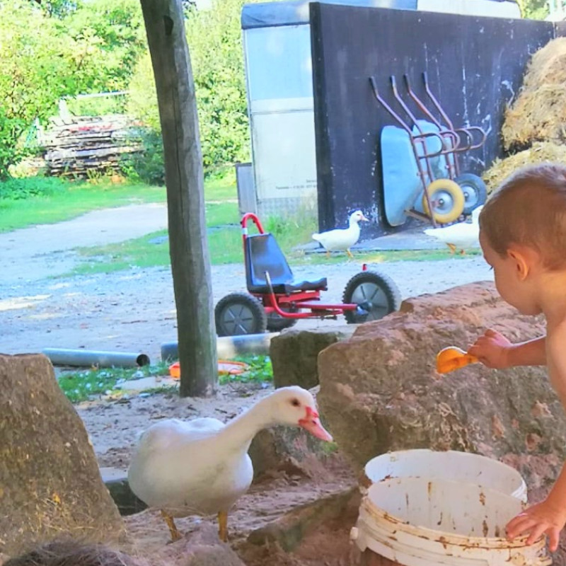 Feier mit den Tieren beim Bauernhof Nickern