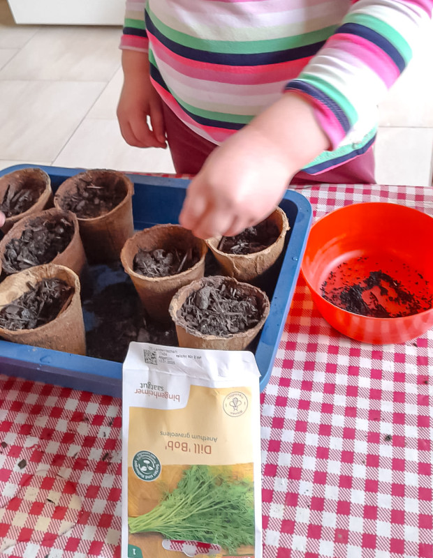 Aussaat der Gartenkräuter und der Osterkresse