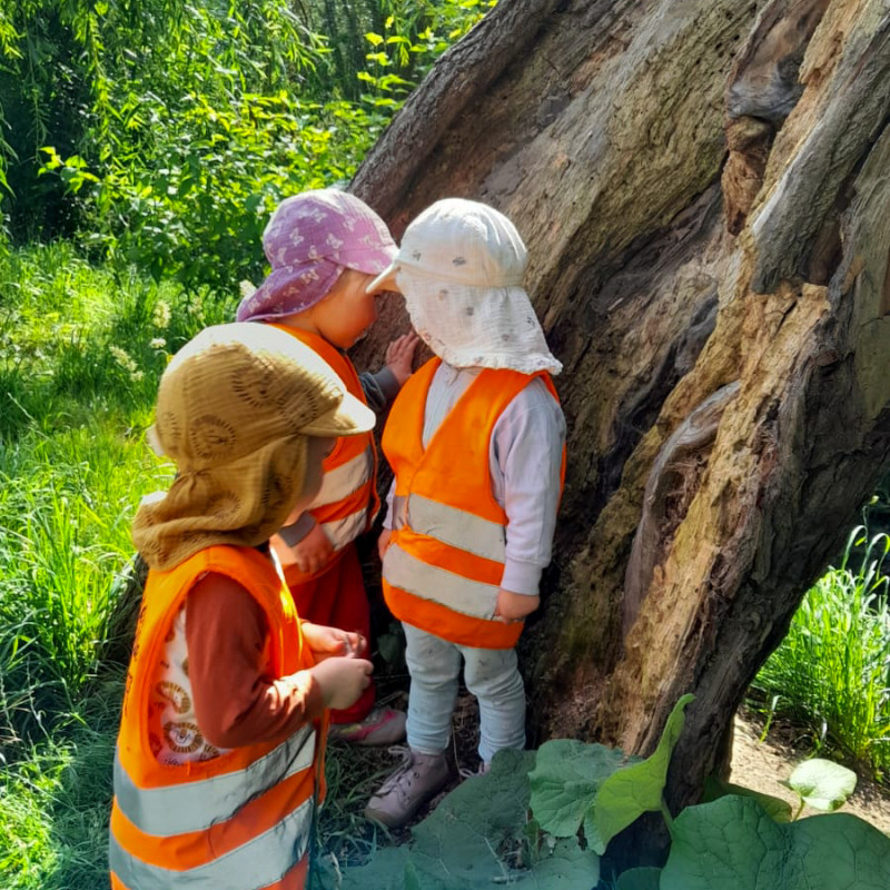 Sinneserfahrungen in der freien Natur