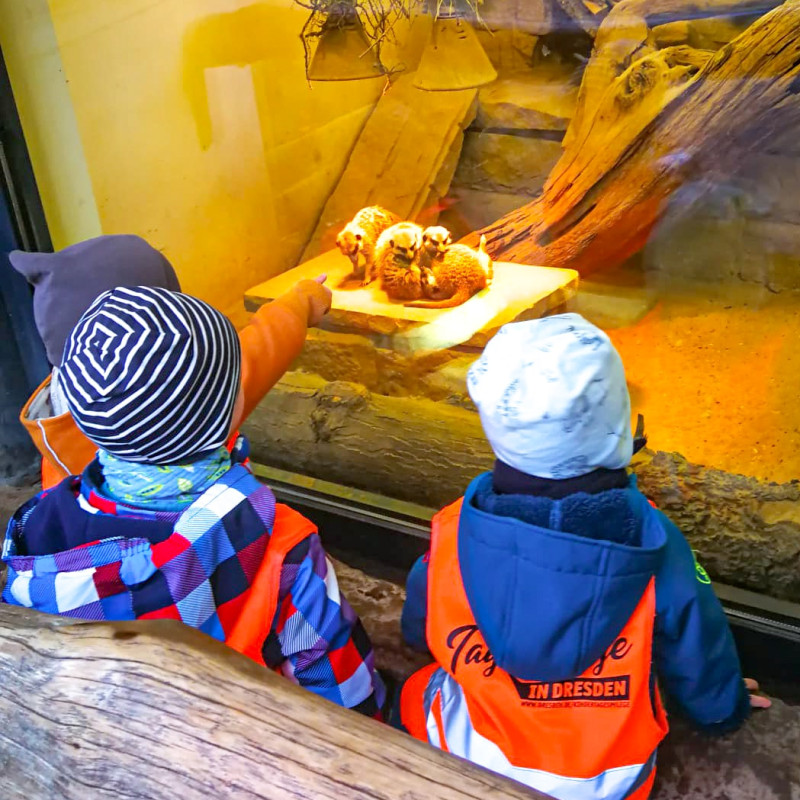 Abschiedsfest im Zoo