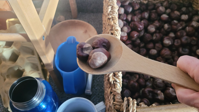 Schätze der Natur einbeziehen