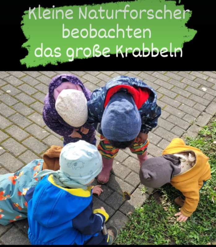 Naturbeobachtungen