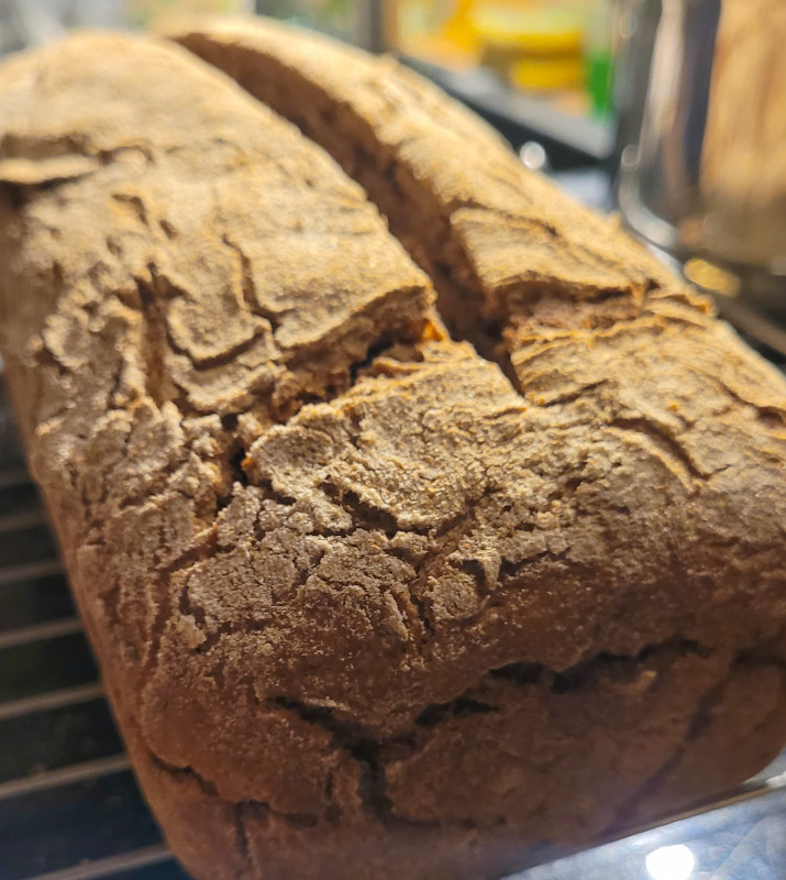 Selbst gebackenes Vollkornbrot