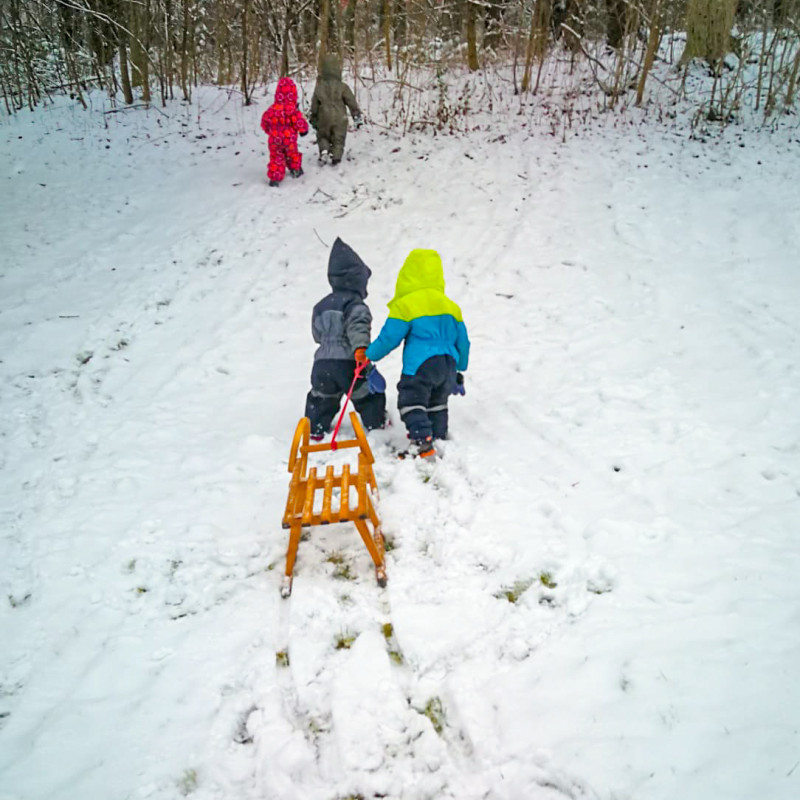 Rodelspaß im Winter